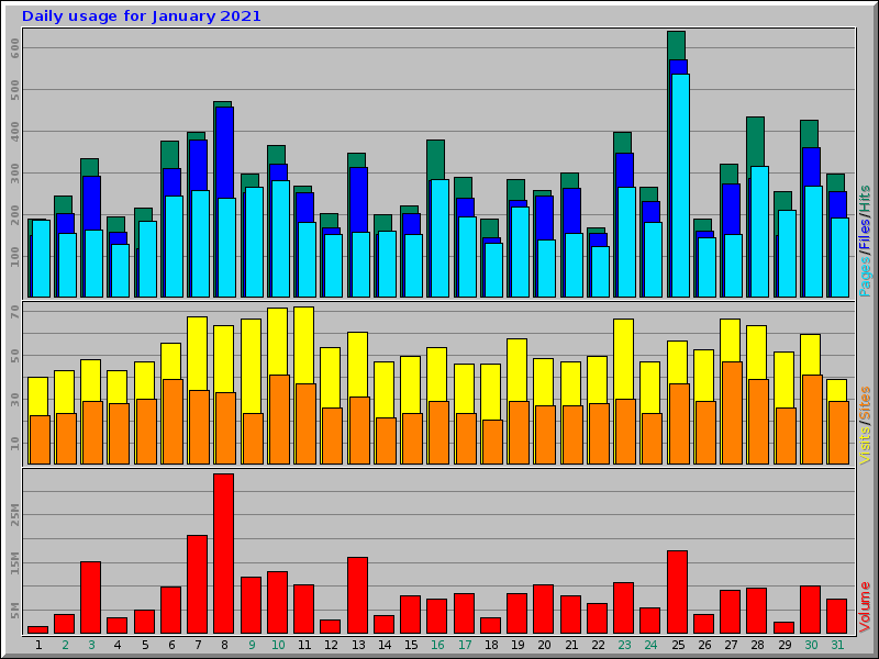 Daily usage for January 2021