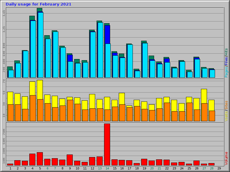 Daily usage for February 2021