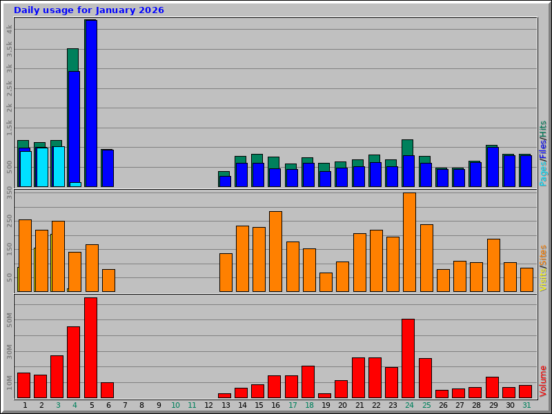 Daily usage for January 2026