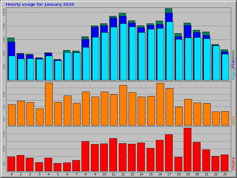 Hourly usage for January 2020