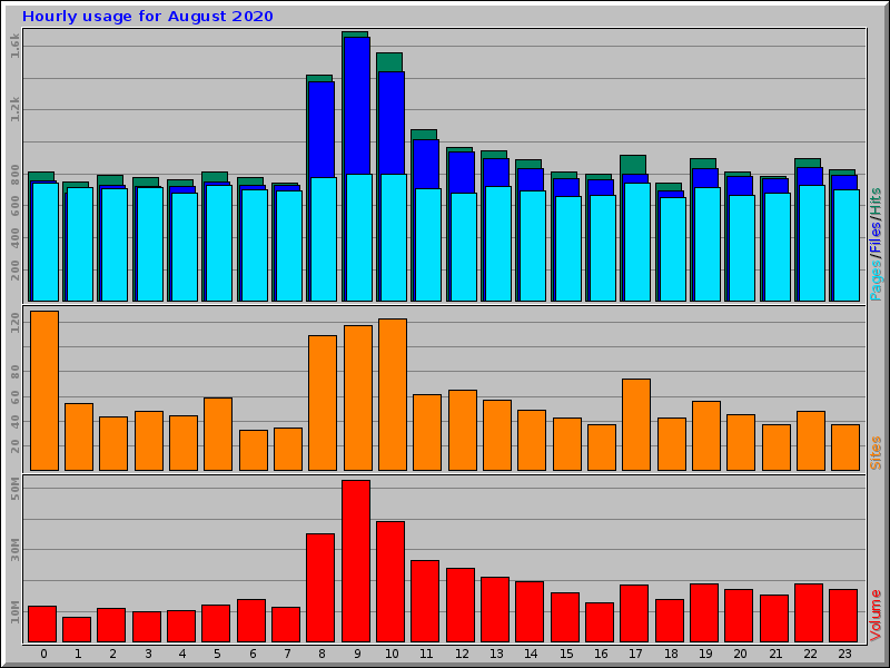 Hourly usage for August 2020