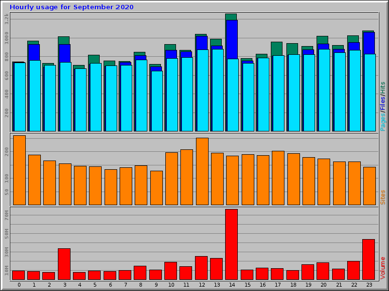 Hourly usage for September 2020