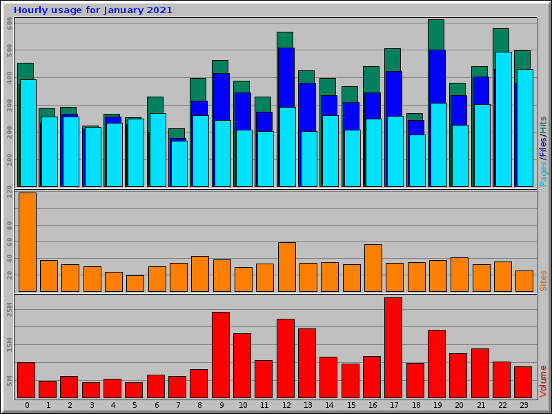 Hourly usage for January 2021