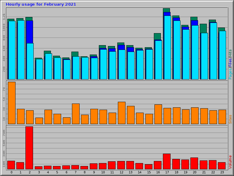 Hourly usage for February 2021