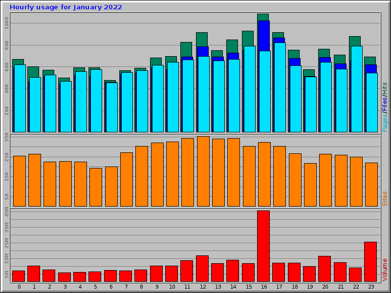 Hourly usage for January 2022