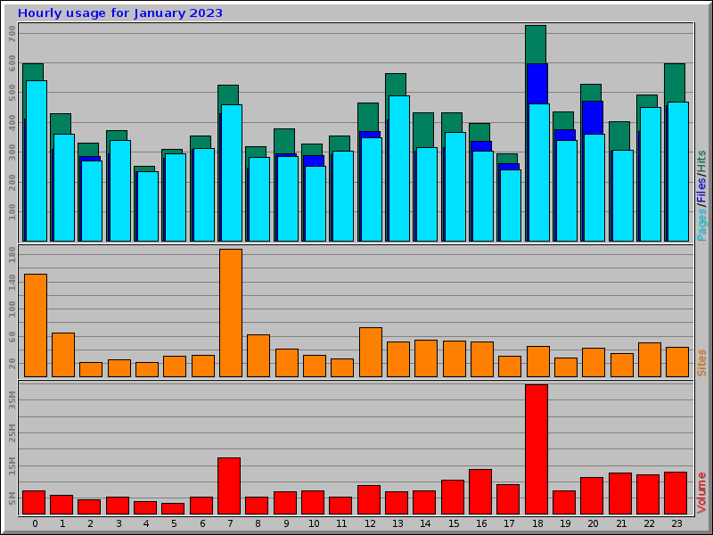 Hourly usage for January 2023