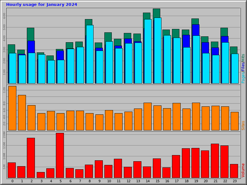 Hourly usage for January 2024