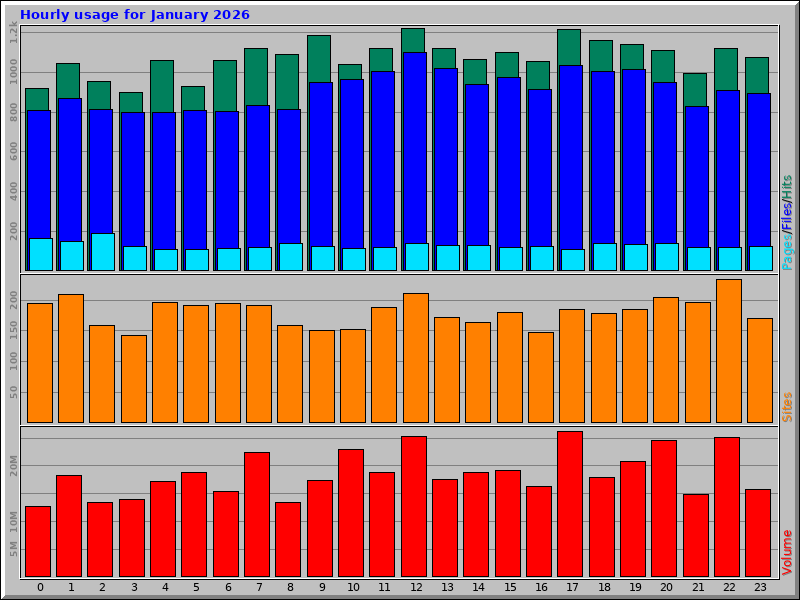 Hourly usage for January 2026