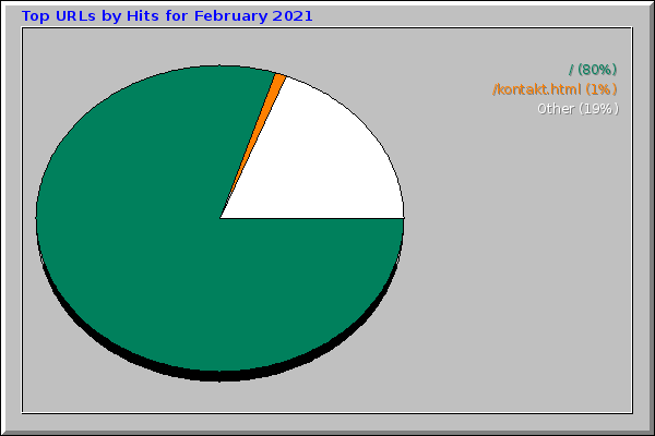 Top URLs by Hits for February 2021
