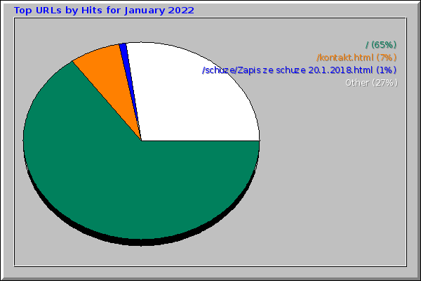 Top URLs by Hits for January 2022