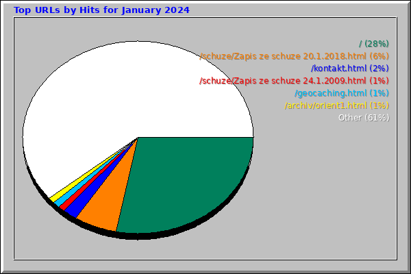 Top URLs by Hits for January 2024