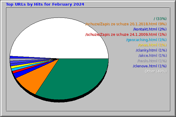 Top URLs by Hits for February 2024