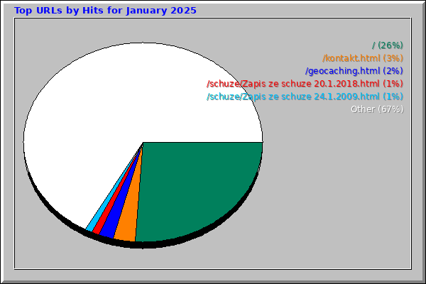Top URLs by Hits for January 2025
