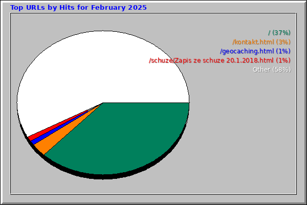 Top URLs by Hits for February 2025