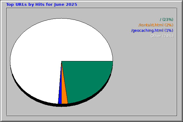 Top URLs by Hits for June 2025