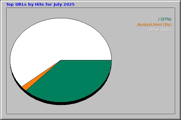 Top URLs by Hits for July 2025