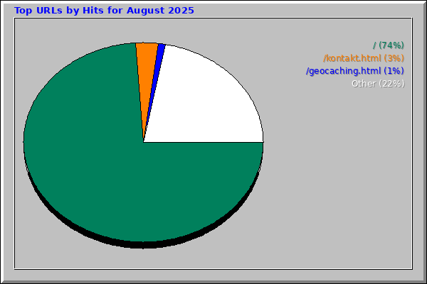 Top URLs by Hits for August 2025